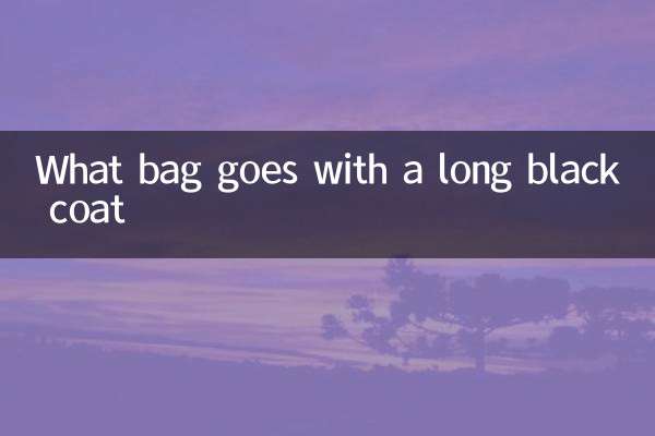 What bag goes with a long black coat