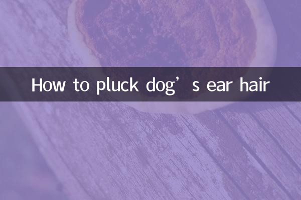 犬の耳毛の抜き方