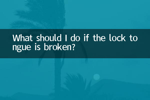 ロックタングが壊れた場合はどうすればよいですか?