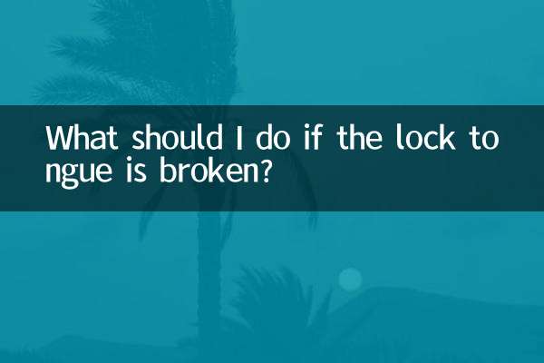 Что делать, если сломался язычок замка?