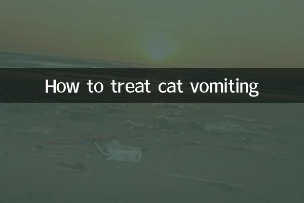 猫の嘔吐の対処法