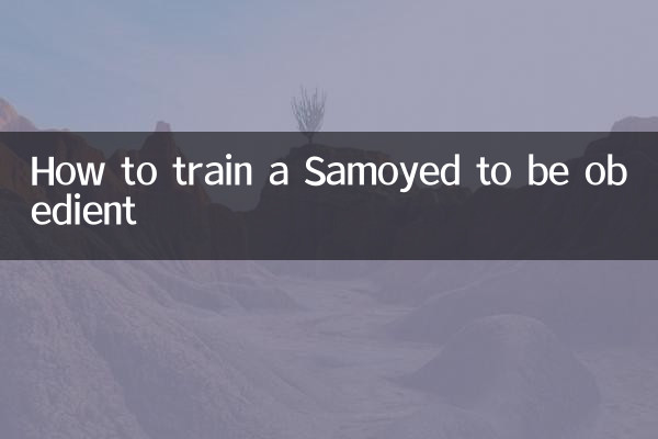 サモエドを従順に訓練する方法