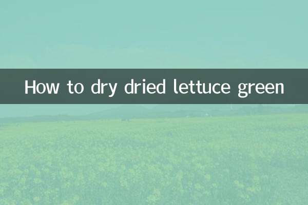 كيفية تجفيف الخس الأخضر المجفف