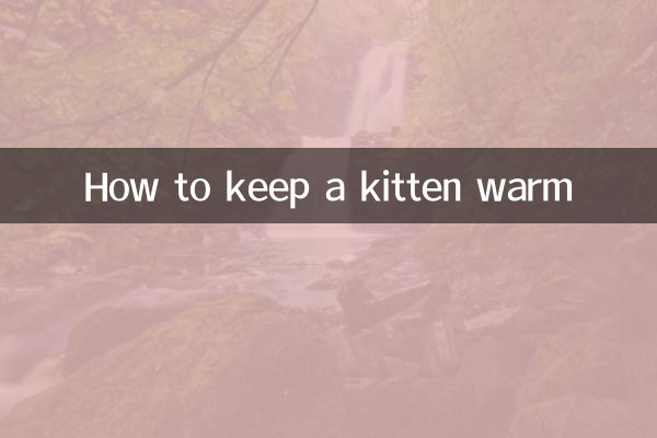 چگونه یک بچه گربه را گرم نگه داریم