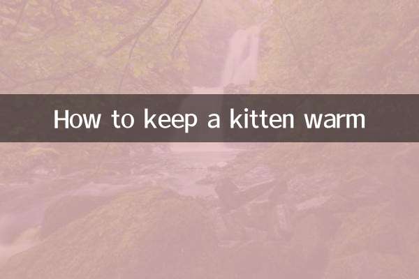 怎麼給奶貓保暖