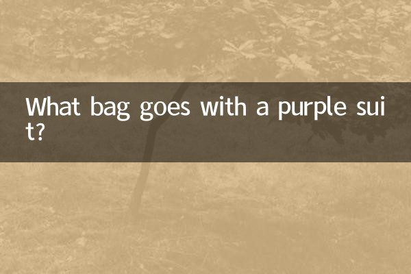 बैंगनी सूट के साथ कौन सा बैग जाता है?