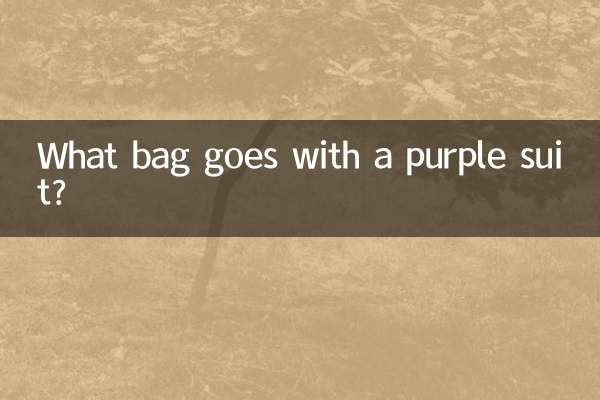 جامنی رنگ کے سوٹ کے ساتھ کون سا بیگ جاتا ہے؟