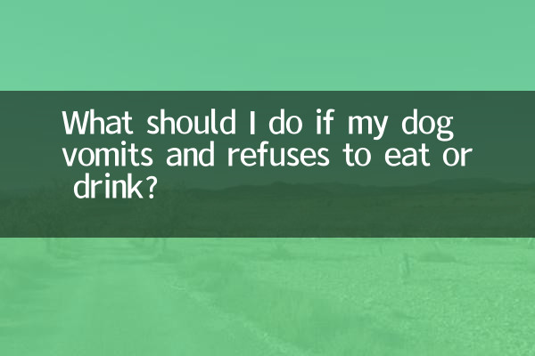 Cosa devo fare se il mio cane vomita e si rifiuta di mangiare o bere?
