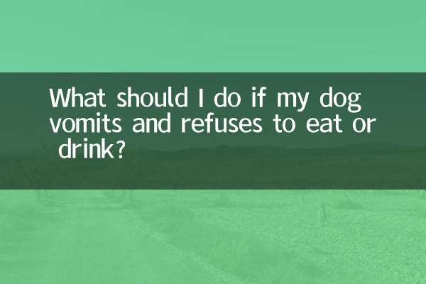 O que devo fazer se meu cachorro vomitar e se recusar a comer ou beber?