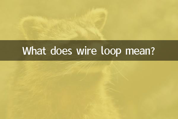 What does wire loop mean?