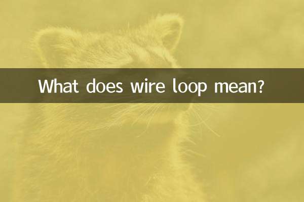 What does wire loop mean?
