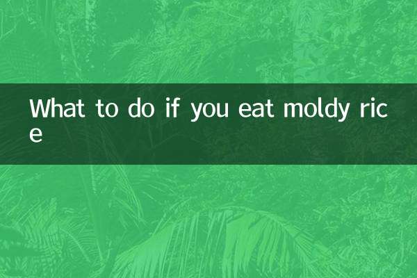 곰팡이 핀 밥을 먹었다면 어떻게 해야 할까요?