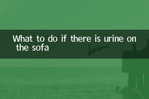 What to do if there is urine on the sofa