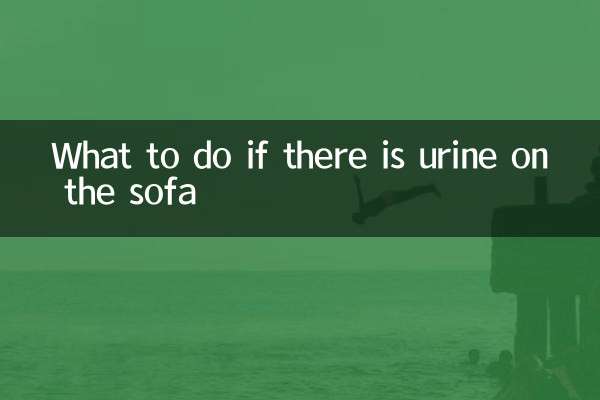 What to do if there is urine on the sofa