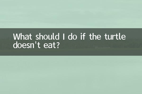 What should I do if the turtle doesn't eat?