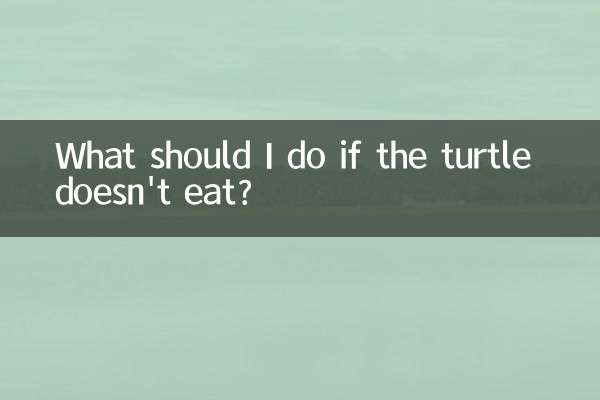 What should I do if the turtle doesn't eat?