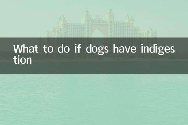 Cosa fare se i cani hanno indigestione