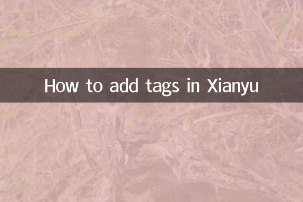 Come aggiungere tag in Xianyu
