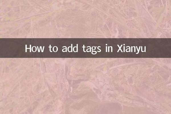 Comment ajouter des balises dans Xianyu