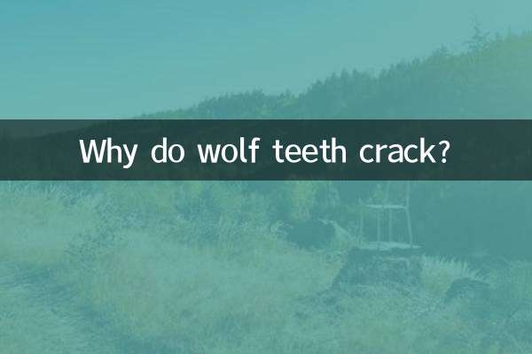 Warum knacken Wolfszähne?