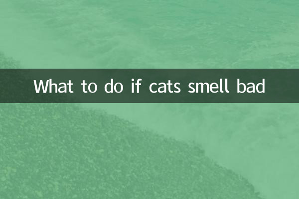 Qué hacer si los gatos huelen mal