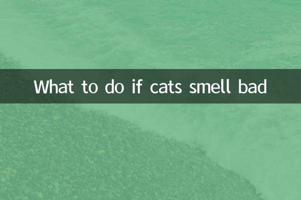 猫味道大怎么办