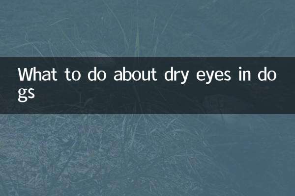 What to do about dry eyes in dogs