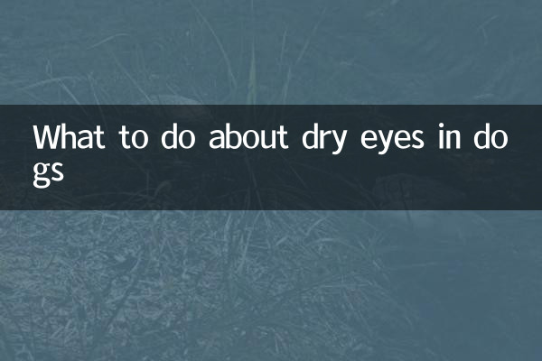 What to do about dry eyes in dogs