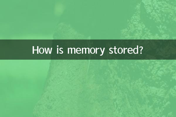 मेमोरी कैसे संग्रहित की जाती है?