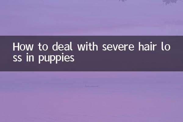 How to deal with severe hair loss in puppies