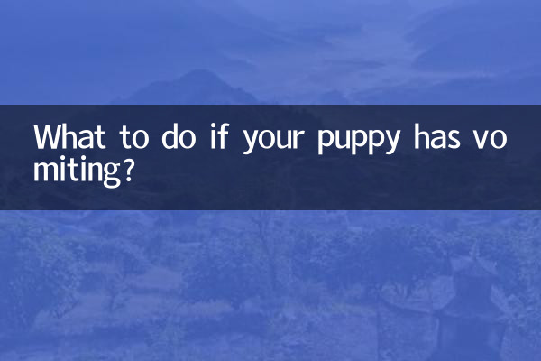 Was tun, wenn Ihr Welpe Erbrechen hat?