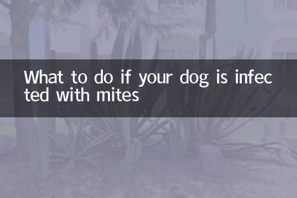 আপনার কুকুর মাইট দ্বারা আক্রান্ত হলে কি করবেন