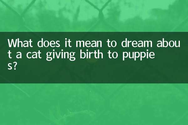 O que significa sonhar com gata dando à luz filhotes?