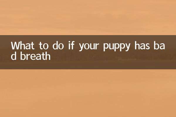 What to do if your puppy has bad breath
