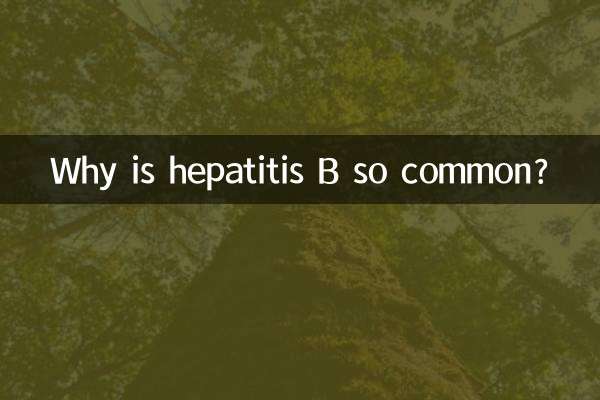 لماذا يعتبر التهاب الكبد B شائعا جدا؟