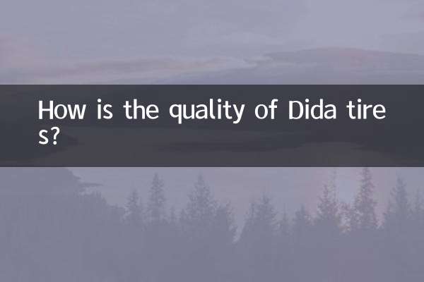¿Cómo es la calidad de los neumáticos Dida?