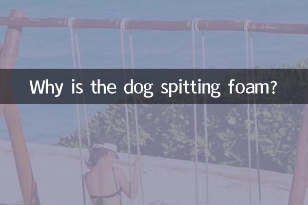 Почему собака плюется пеной?