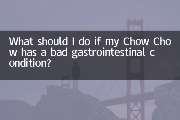 ¿Qué debo hacer si mi Chow Chow tiene una mala condición gastrointestinal?