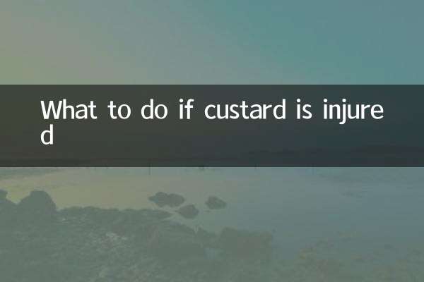 What to do if custard is injured