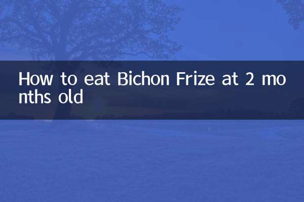 2 महीने की उम्र में बिचोन फ़्रीज़ कैसे खाएं