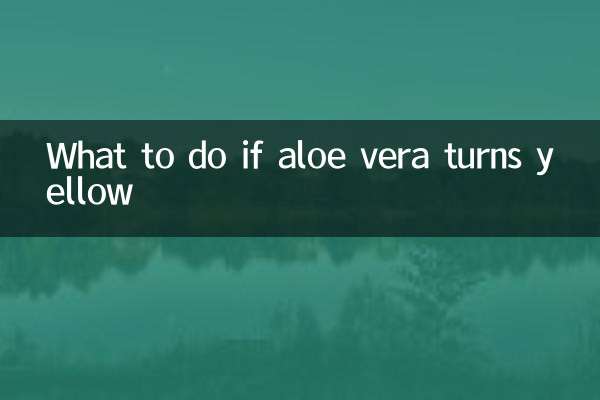 Что делать, если алоэ вера желтеет