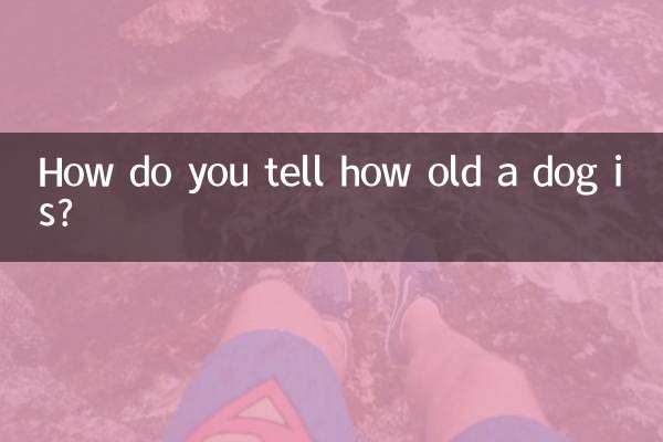 How do you tell how old a dog is?