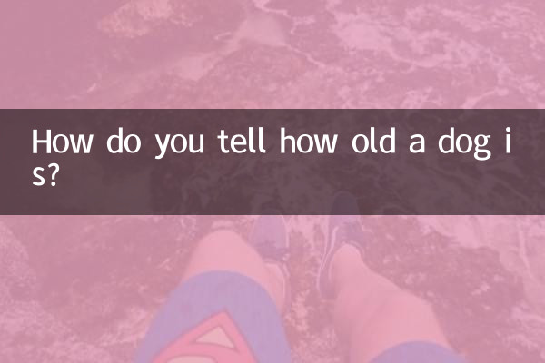 狗怎麼看多大了