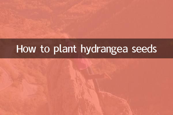 How to plant hydrangea seeds