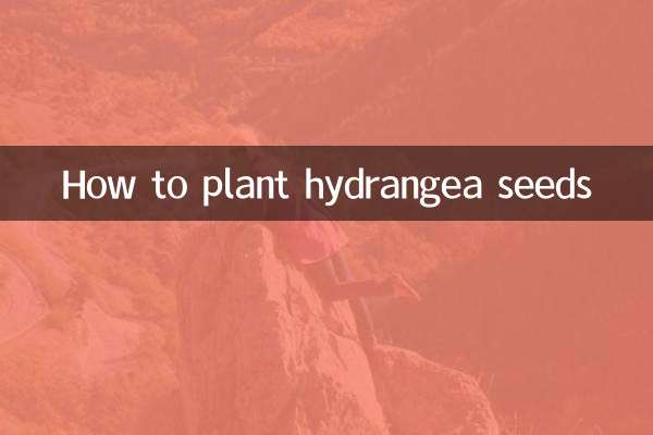 How to plant hydrangea seeds