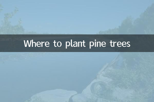 Where to plant pine trees