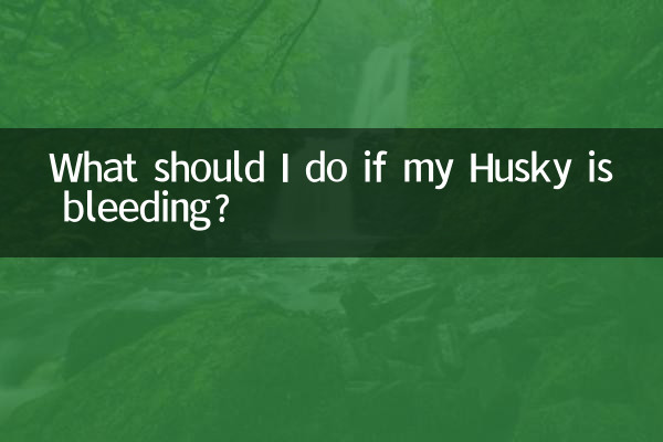 What should I do if my Husky is bleeding?