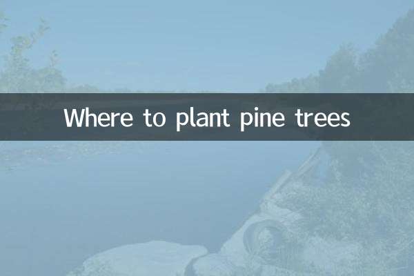 Where to plant pine trees