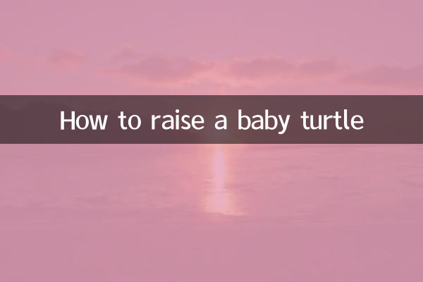 Cómo criar una tortuga bebé