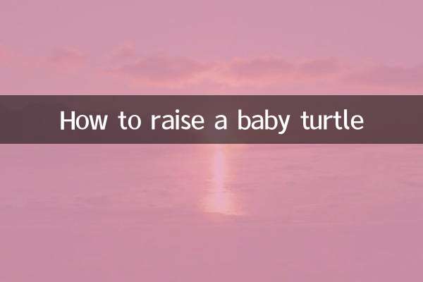 子ガメの育て方